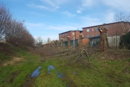 Bigger view of Knotten bomen