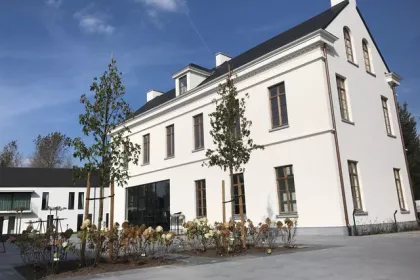Bigger view of Aanleg terras in graniet 60x60 en aanplanten solitaire bomen