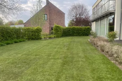 Bigger view of Particuliere werken