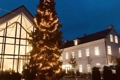 Bigger view of Kerstboom Koolputten Hamme plaatsen en versieren