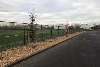 Bigger view of Aanleg bedrijfsterrein onderhoudsvriendelijke beplanting